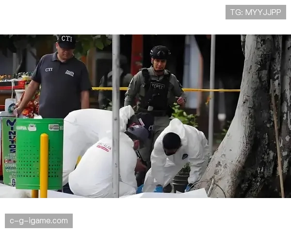 斯托克城高空轰炸事件调查升级 警方呼吁公众提供线索并加强安全防范