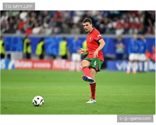 帕利尼亚防守能力解析：对抗成功率与覆盖范围